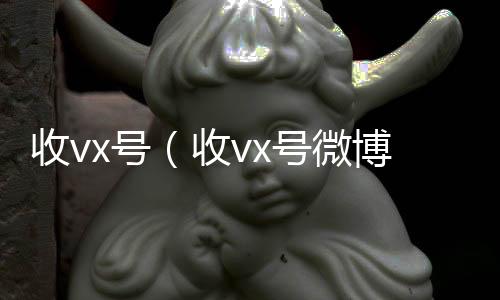 收vx号vx回收（收vx号微博）